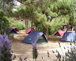 La Arboleda