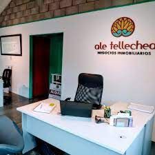 Ale Tellechea Inmobiliaria