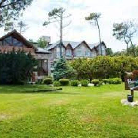 Haras del Bosque