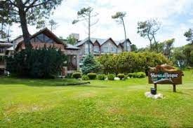 Haras del Bosque