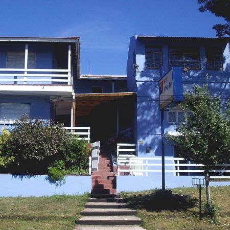 Pino Azul