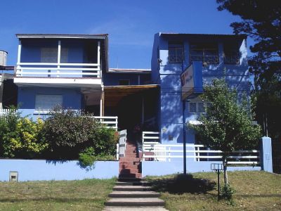Pino Azul