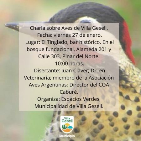 Charla sobre Aves