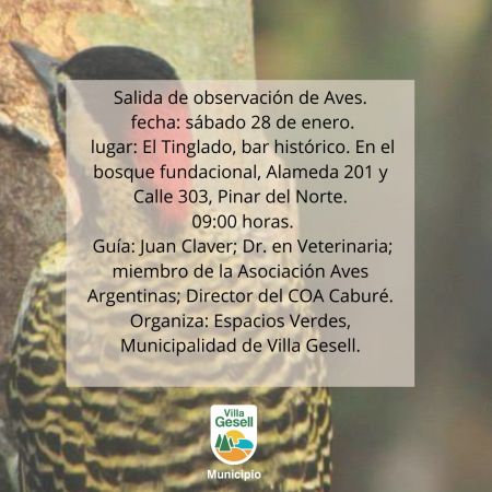 Salida de Observación de Aves