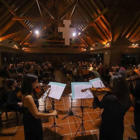 Mar de las Pampas en Conciertos