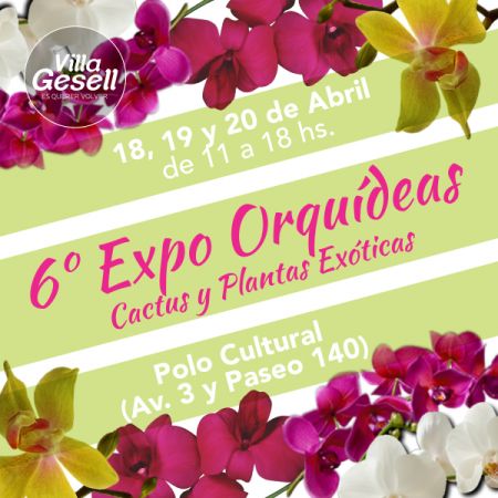 6º Exposición de Orquídeas