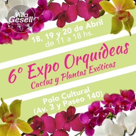 Sexta exposición de orquídeas, cactus y plantas exóticas