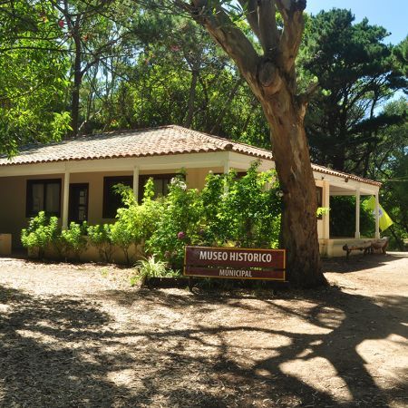 Visitas Guiadas al Pinar del Norte