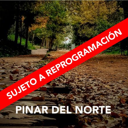 Visitas guiadas en el Pinar del Norte 