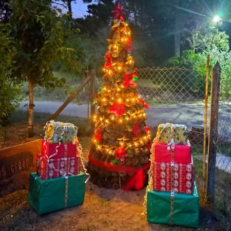 GANADORES DE LA 3° EDICIÓN DEL CONCURSO "NAVIDAD EN GESELL"