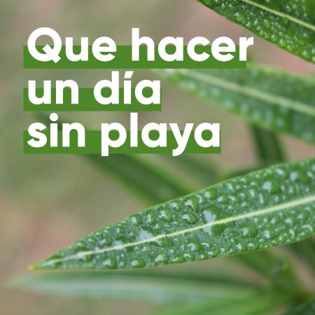 ¿NO SABES QUÉ HACER UN DÍA SIN PLAYA? TE COMPARTIMOS ALGUNAS IDEAS