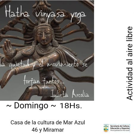 Hatha Vinyasa Yoga