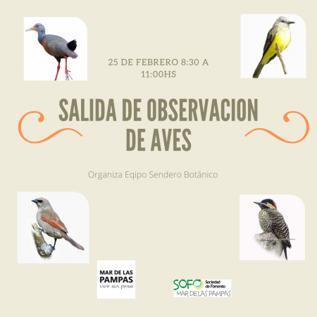 Salida de observación de aves para principiantes