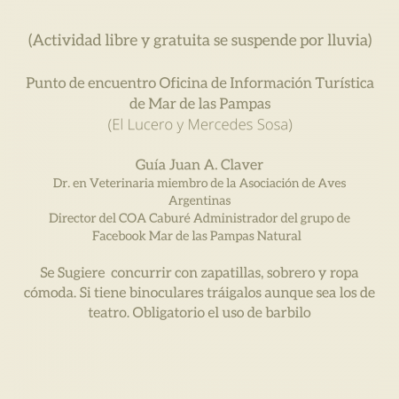Salida de observación de aves para principiantes