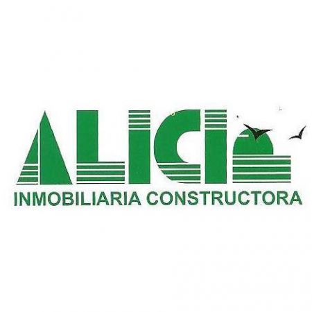 Alici Inmobiliaria & Constructora