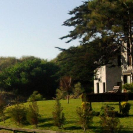 Oasis de las Pampas