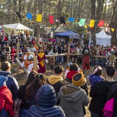 Invierno Medieval