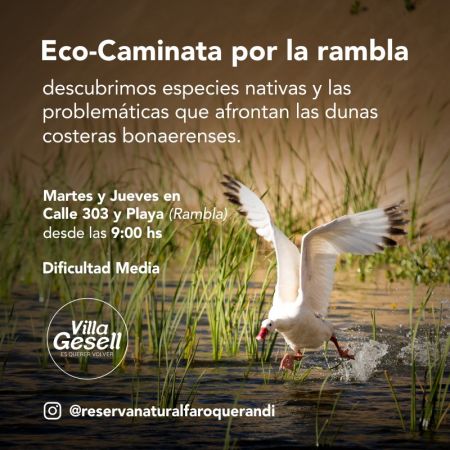 Eco caminata por la rambla