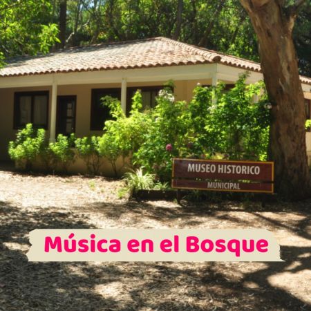 Música en el bosque