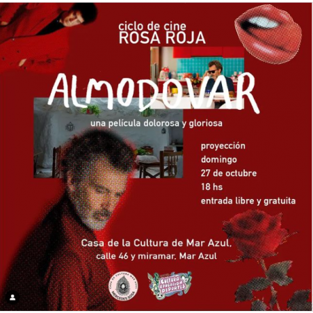 Almodóvar, una película dolorosa y gloriosa - Ciclo de Cine 