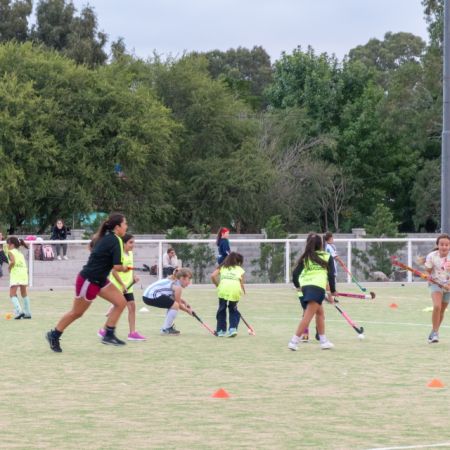 Sedes Deportivas