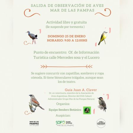 Salida de Observación de Aves